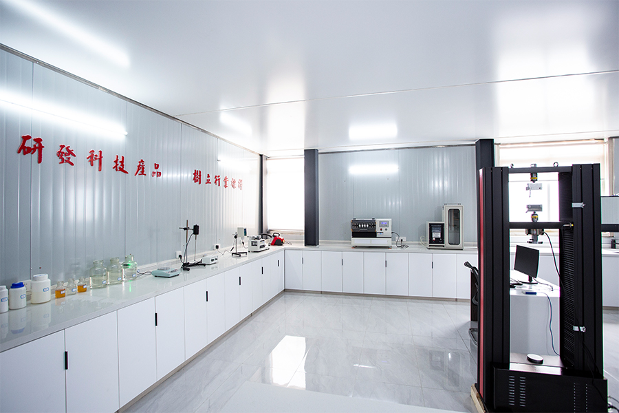 Anhui Longsheng Bagong Material Technology Co, Ltd.
