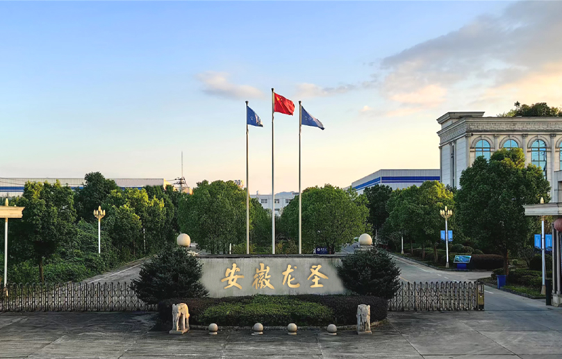 Anhui Longsheng Bagong Material Technology Co, Ltd.
